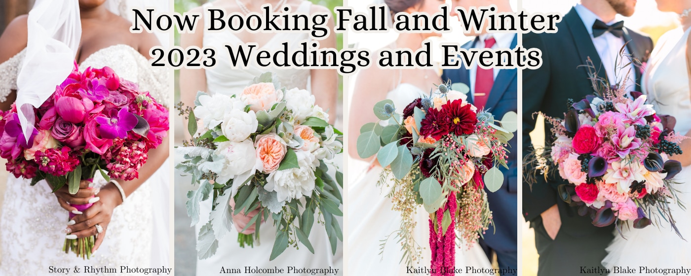 Anna Flowers Promo Code Best Flower Site